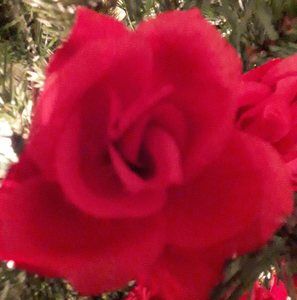 Meet your Posher, Nada